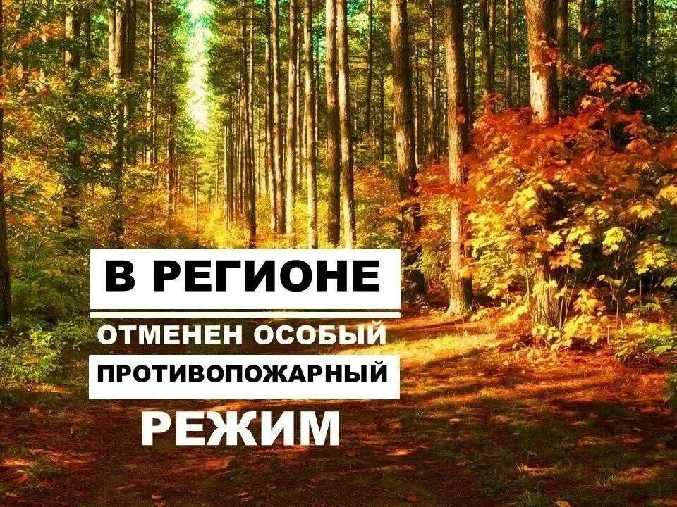 В Воронежской области отменили особый противопожарный режим.