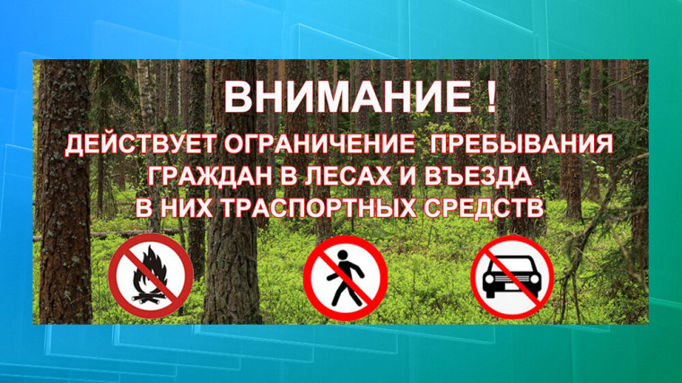 Об ограничениях пребывания граждан в лесах и въезда в них транспортных средств.